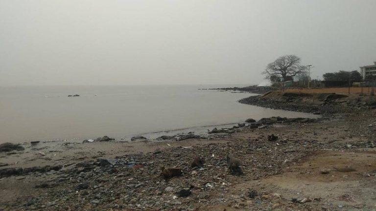 Drame/Conakry. Deux gamins voulant récupérer leur ballon périssent dans la mer