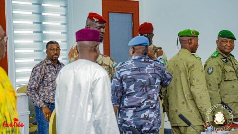 Diplomatie:  Col. Mamadi Doumbouya, reçoit une délégation de la République du Niger