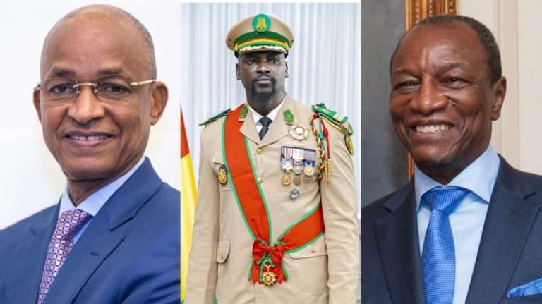 Guinée : les activités politiques sont-elles suspendues par le CNRD ?