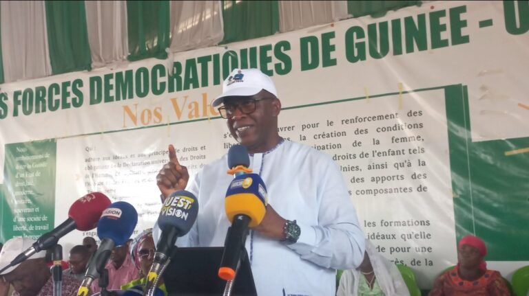 Guinée. L&rsquo;UFDG porte plainte contre le ministre Ousmane Gaoual Diallo