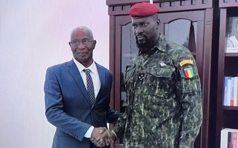 La structure du gouvernement de Bah Oury, enfin dévoilé