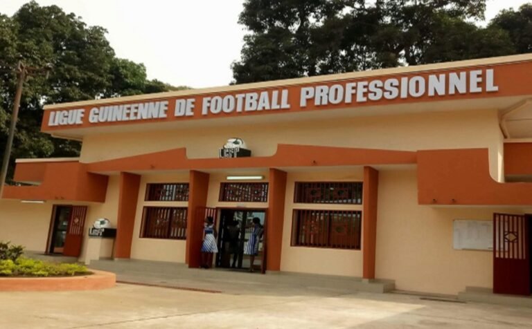 Guinée. Le championnat national suspendu (raisons)