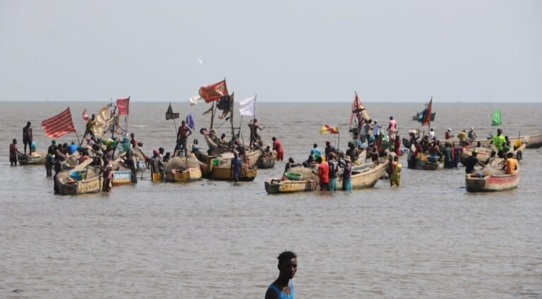 Des pêcheurs étrangers victimes de brûlures chimiques en Guinée 