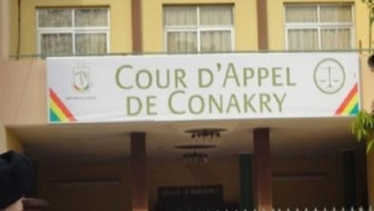 Viol sur mineure : un imam condamné à 8 ans de réclusion par la cour d&rsquo;appel de Conakry 
