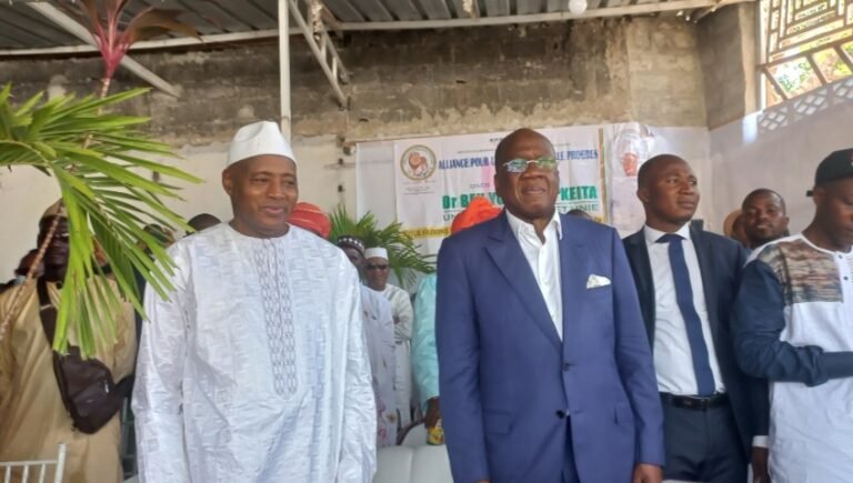 Guinée. Une nouvelle coalition politique en gestation 