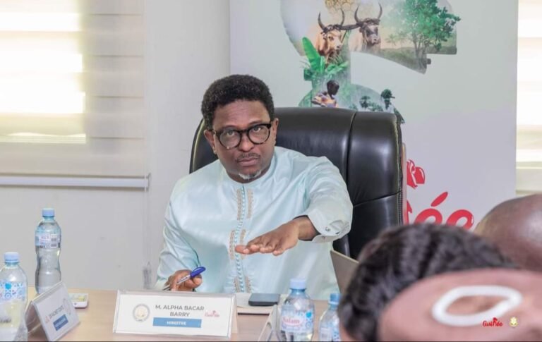 Le ministre Alpha Bacar Barry lance une nouvelle dynamique axée sur la réforme et l&rsquo;innovation 