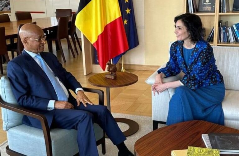 Dalein demande de l&rsquo;aide à la Belgique face à la “volonté de reporter le retour à l’ordre constitutionnel” 