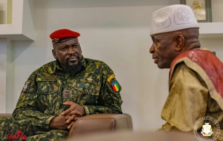 Guinée. Une évaluation des partis politiques annoncée par les autorités 
