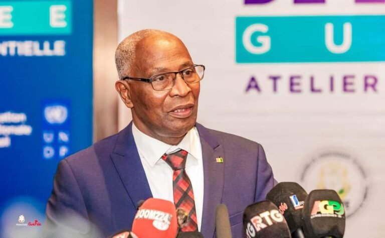 Manque du courant électrique : Bah Oury, promet de régler le problème avant juillet 2025 