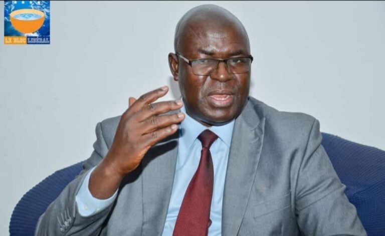 Crise énergétique en Guinée :  voici la solution de Dr Faya Milimouno