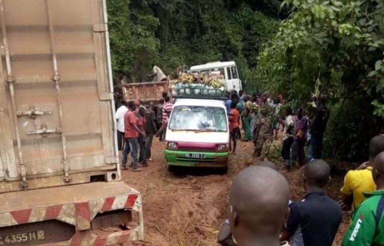Insécurité : des coupeurs de route tuent trois personnes dans une attaque à Kissidougou 