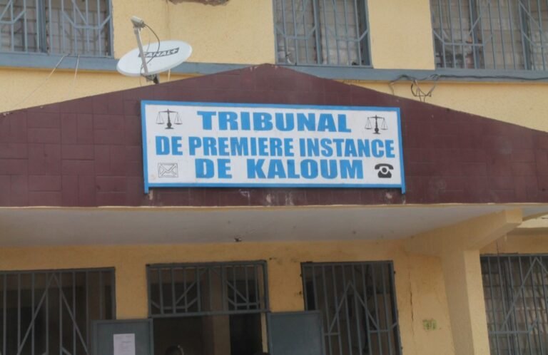 Conakry. Une journaliste condamnée à 10 mois  de prison dont 2 ferme 