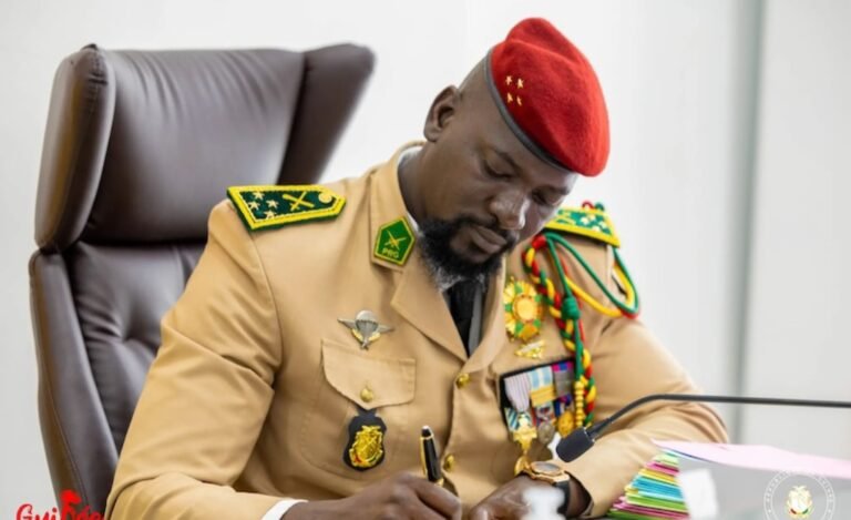 Armée : des bataillons opérationnels de défense et de sécurisation du territoire créé en Guinée