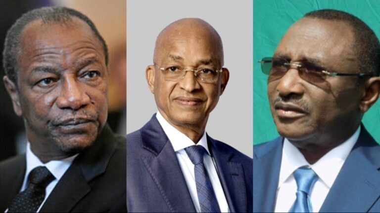 Alpha, Cellou, Sidya et Cies font front commun contre l&rsquo;avant projet de la constitution 