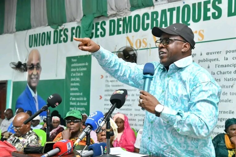 Avant-projet de Constitution : voici ce que promet l&rsquo;UFDG 