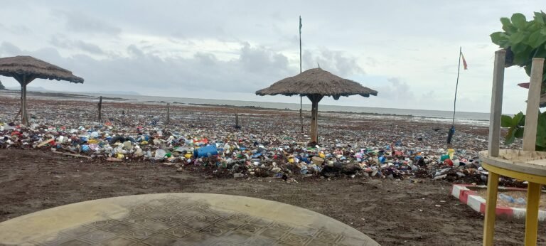 Conakry. La plage de Takonko est débordée par les ordures 