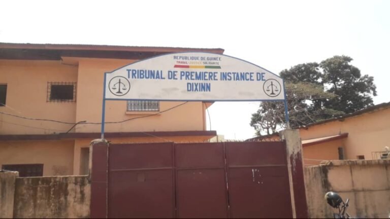 Guinée : un leader politique inculpé pour “menace à la sécurité publique” par la justice 