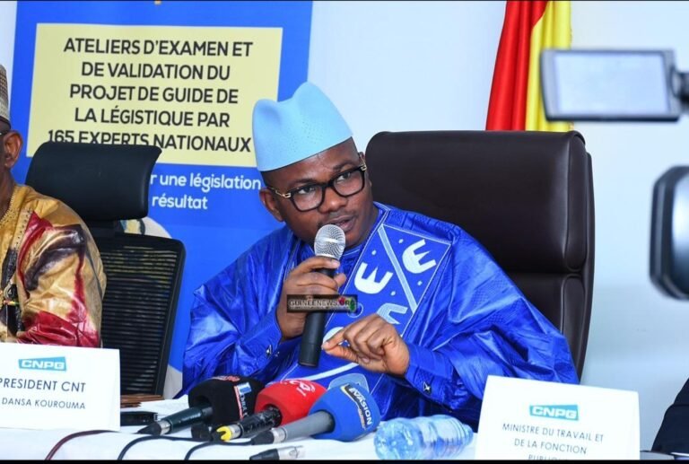 Guinée. Voici les 15 verrous de la nouvelle Constitution