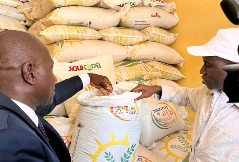Ouverture officielle du magasin de vente de riz de Guinée à Kankan