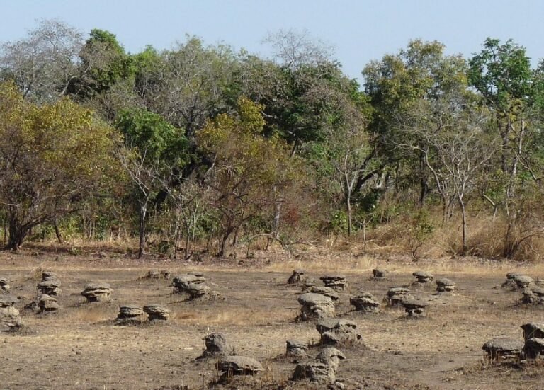Mandian. 8 personnes foudroyées à Kondianakoro 