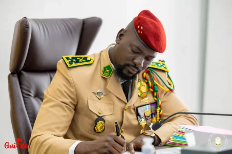 Guinée. Un nouveau secrétaire général des services spéciaux nommé (décret)