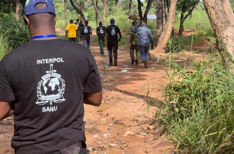 L&rsquo;INTERPOL démantèle un réseau d&rsquo;exploitation minière illégale en Guinée et dans 3 autres pays