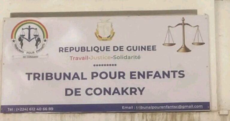 Guinée : l&rsquo;IRDED alerte sur un éventuel paralysie du tribunal pour enfant 