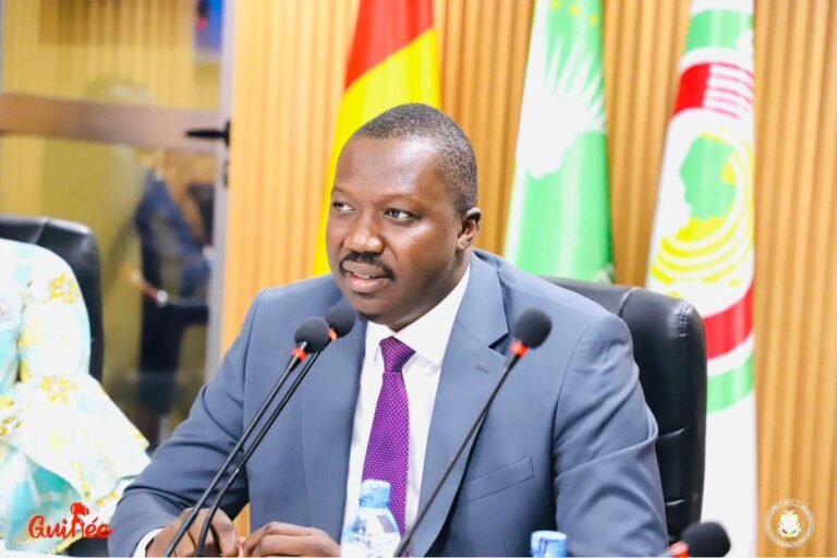 Guinée : après sa nomination, Nagnalen Barry prend la parole et promet de…