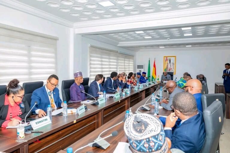 Vers les élections en Guinée : l’Union africaine en soutien, Conakry en quête de financements