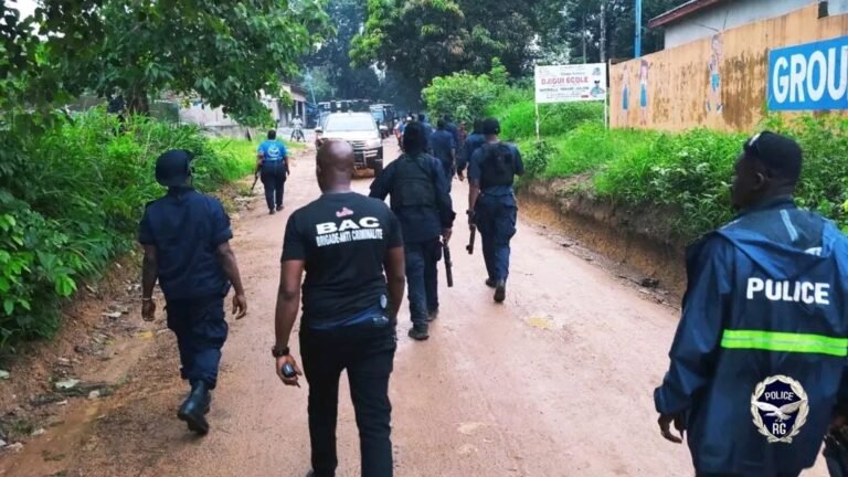 Coyah : 28 interpellations avec de la drogue et des armes blanches 