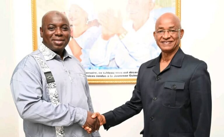 Guinée : l’UFDG dénonce une « menace grave » visant son responsable de la communication