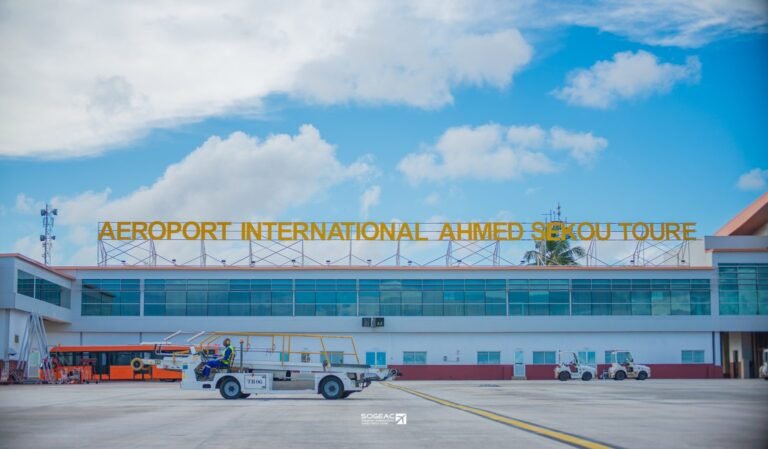 Guinée : création d&rsquo;une société de gestion des aéroports et aérodromes 