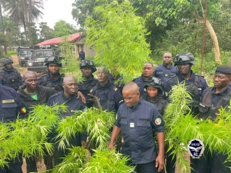 Guinée : début musclé des opérations anti-criminalité de la police aux frontières