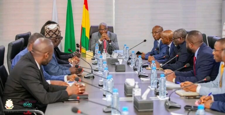 Réforme du système carcéral: la Guinée adopte le bracelet électronique 