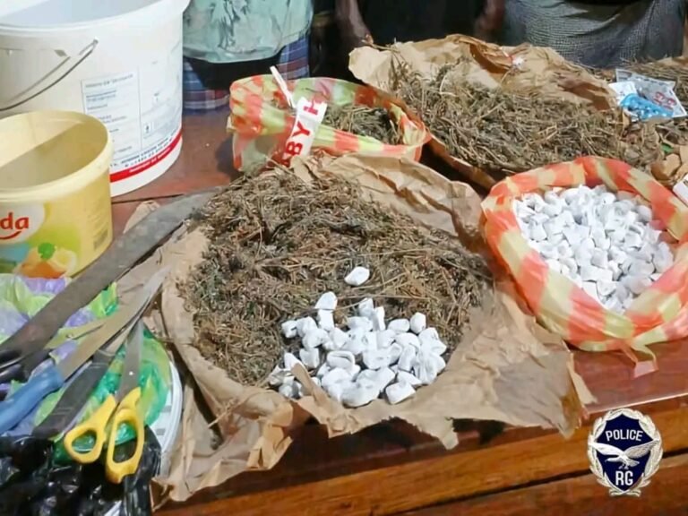 Koundara : Saisie de drogue et arrestations lors d’une opération policière 
