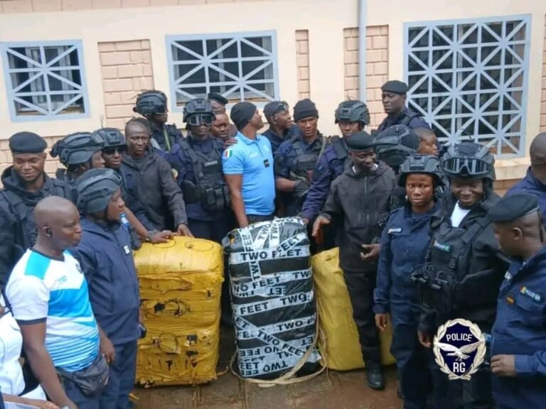 Forécariah : 186 kg de chanvre indien saisi par la police 