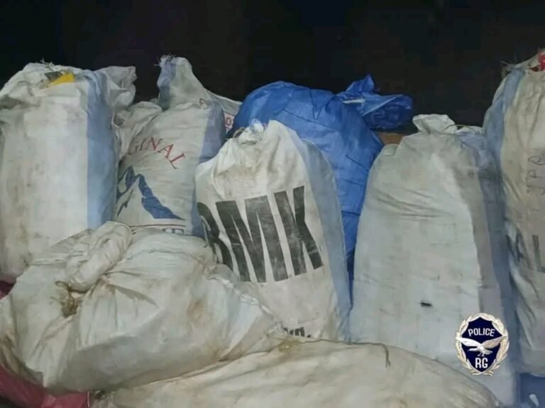 Saisie record de médicaments illicites à Pamalap : la CIPAF frappe encore fort 