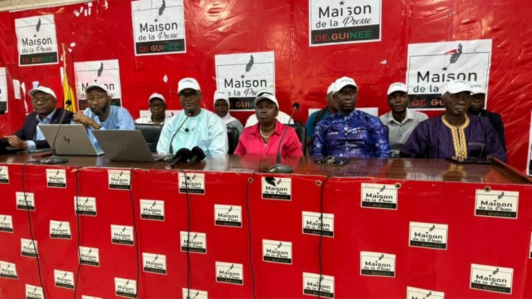 Réformes sanitaires et Constitution : l&rsquo;Ordre des Pharmaciens de Guinée fait donne sa position 