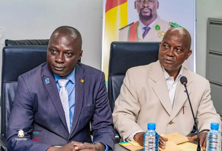 Guinée : un préavis de grève déposé dans le secteur pré-universitaire