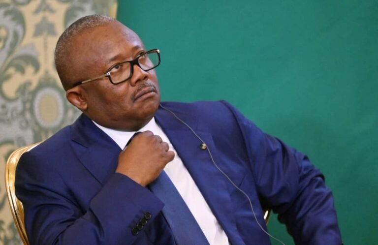 La CEDEAO et l&rsquo;union africaine se prononcent sur la situation en Guinée-Bissau