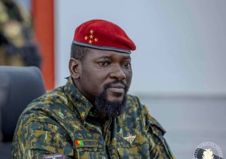 Guinée : Plusieurs colonels promus au grade de général de brigade