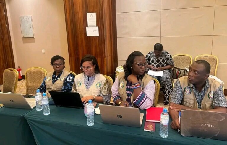 Présidentielle 2025: une mission de la CEDEAO déjà à Conakry 
