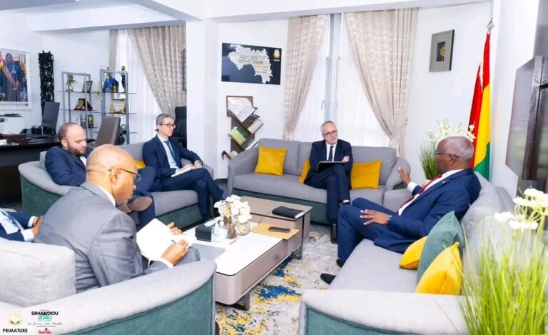 Coopération entre Conakry et Paris : une vague d’investisseurs français attendue en Guinée 