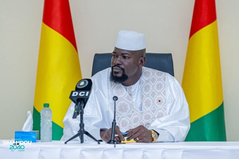 Guinée : les missions communes des ministères et secrétariats généraux dévoilées 