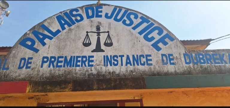 TPI de Dubréka : un père de famille jugé pour pédophilie et détention de drogue 