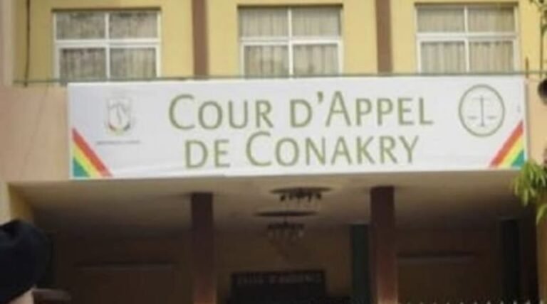Guinée : Le Parquet Général de Conakry intensifie la lutte contre les infractions sur les réseaux sociaux