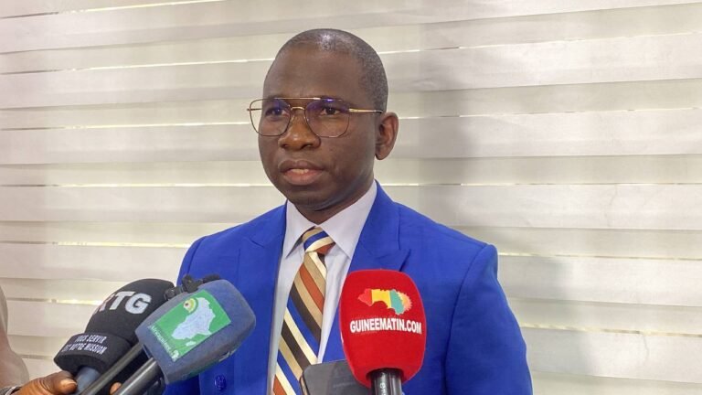 Guinée : l’OGP ordonne le retrait des affichages électoraux sur l’ensemble du territoire
