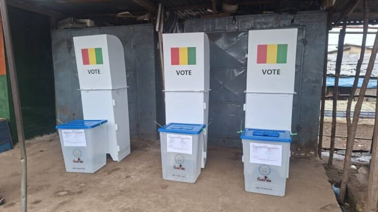 Guinée : la DGE accorde 1 h 30 supplémentaire aux électeurs