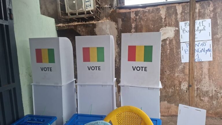 Guinée : les résultats définitifs des législatives du 31 mai dernier seront proclamés, ce vendredi