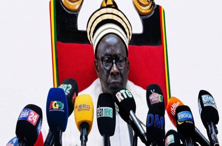 Guinée : les nouveaux députés doivent être installés dans 30 jours avenir 